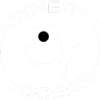 Other_Ocean_Interactive_logo